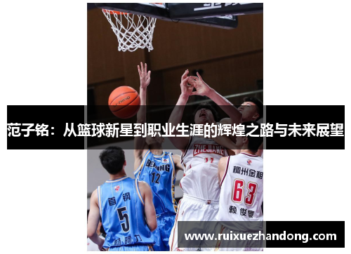 范子铭：从篮球新星到职业生涯的辉煌之路与未来展望