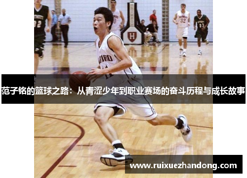 范子铭的篮球之路：从青涩少年到职业赛场的奋斗历程与成长故事