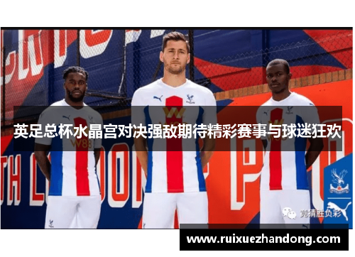 英足总杯水晶宫对决强敌期待精彩赛事与球迷狂欢
